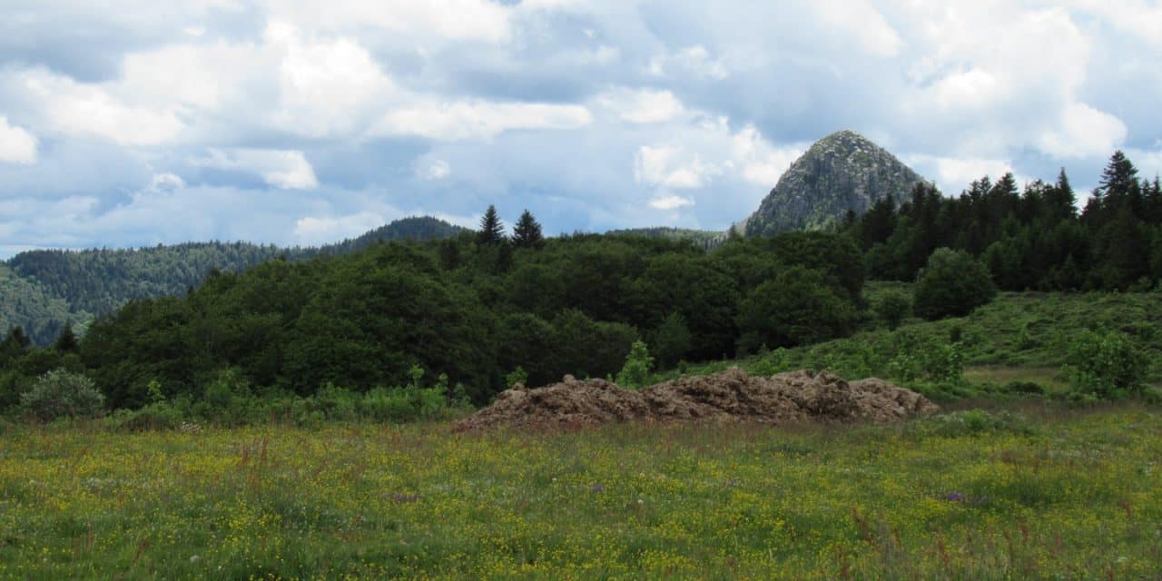 Mont Gerbier de Jonc 1551m