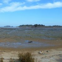 
Projection: Rectilinear (0)
FOV: 82 x 35
Ev: 13.66